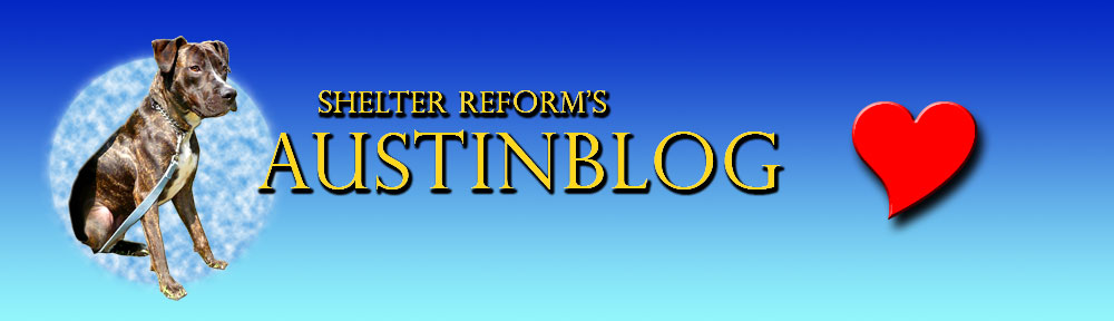 Shelter Reform's AUSTINBLOG
